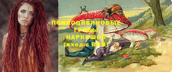 apvp Сатка